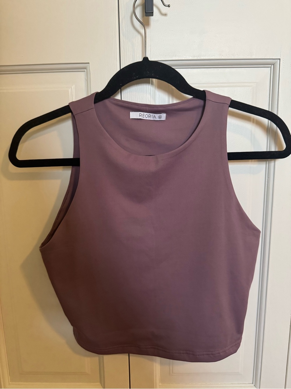 ReoRia Dusty Mauve Cropped High-Neck Tank